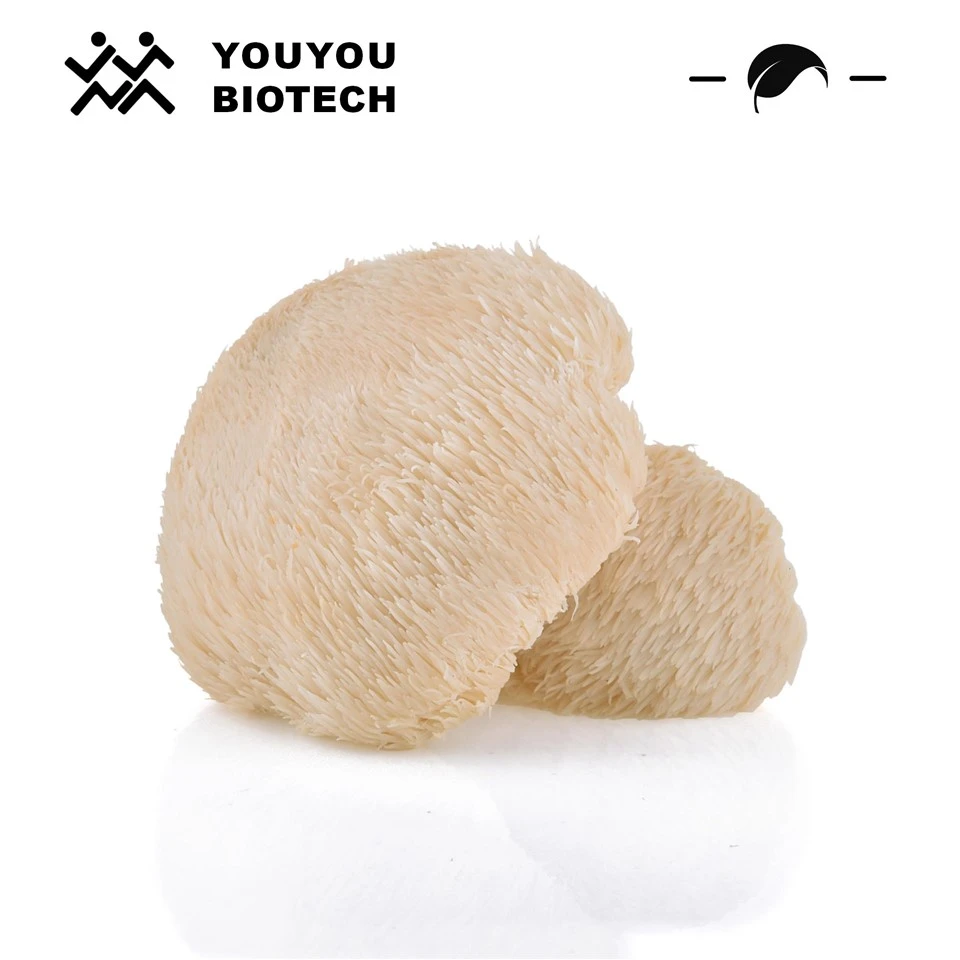 Tsov ntxhuav lub mane extract